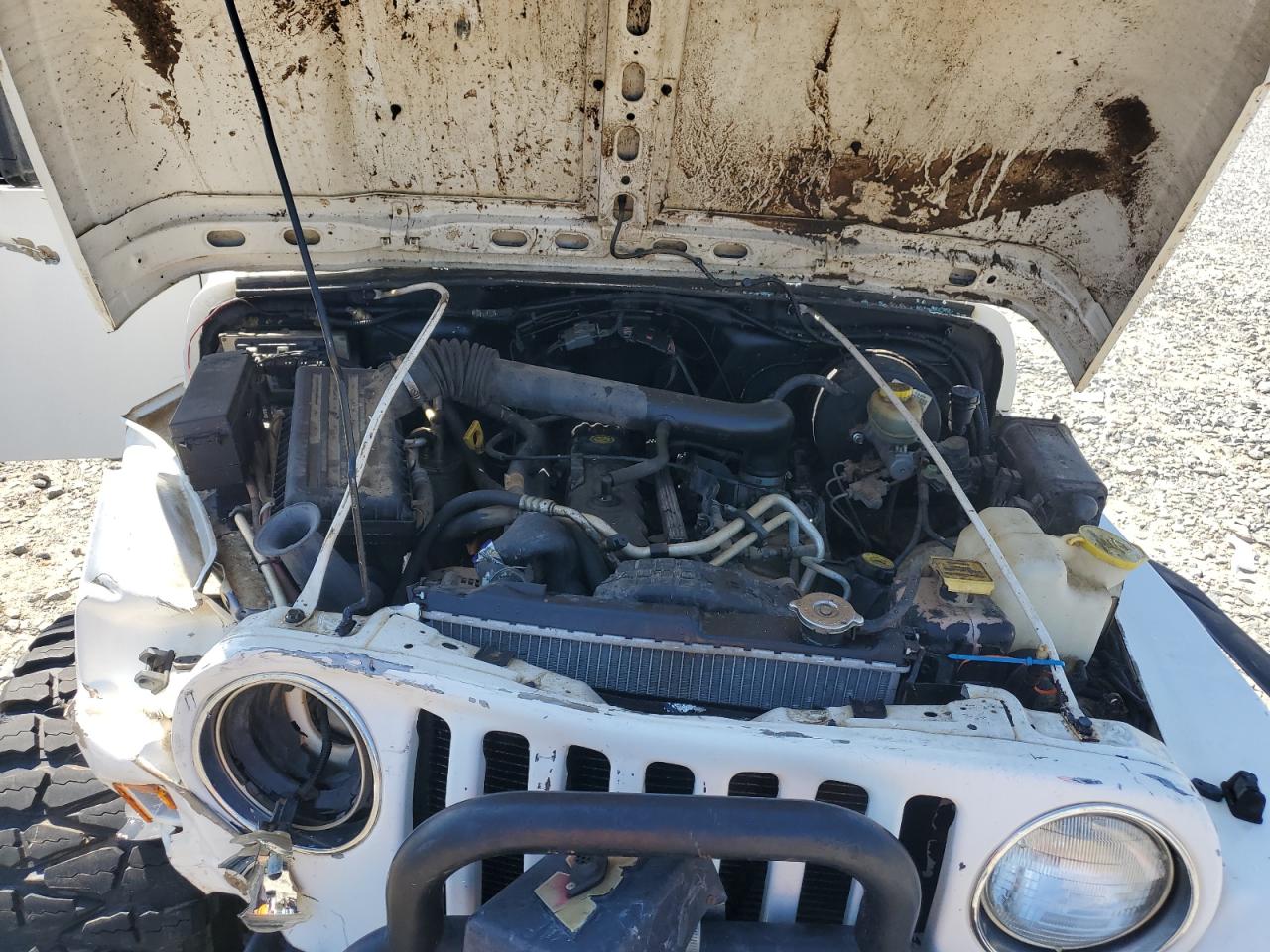 2000 Jeep Wrangler / Tj Sport VIN: 1J4FA49S5YP803452 Lot: 71550385