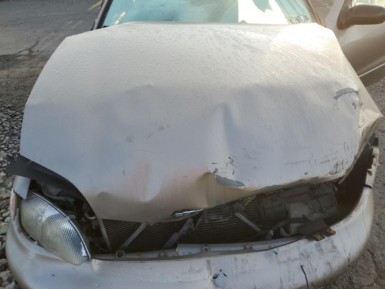 1997 Chevrolet Cavalier VIN: 1G1JC524XV7154876 Lot: 71966945