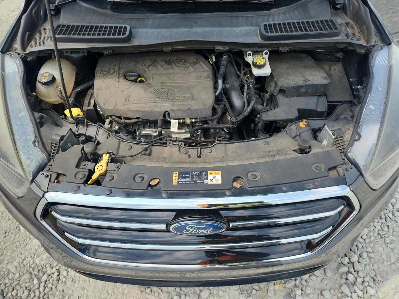 2018 Ford Escape Se VIN: 1FMCU0GD7JUA60597 Lot: 81198275