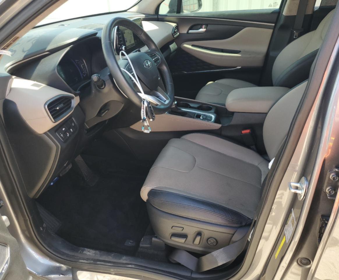 2019 Hyundai Santa Fe Limited VIN: 5NMS53AAXKH117462 Lot: 81873685