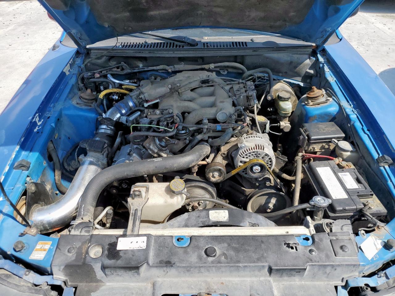 2000 Ford Mustang VIN: 1FAFP4040YF187836 Lot: 81183265