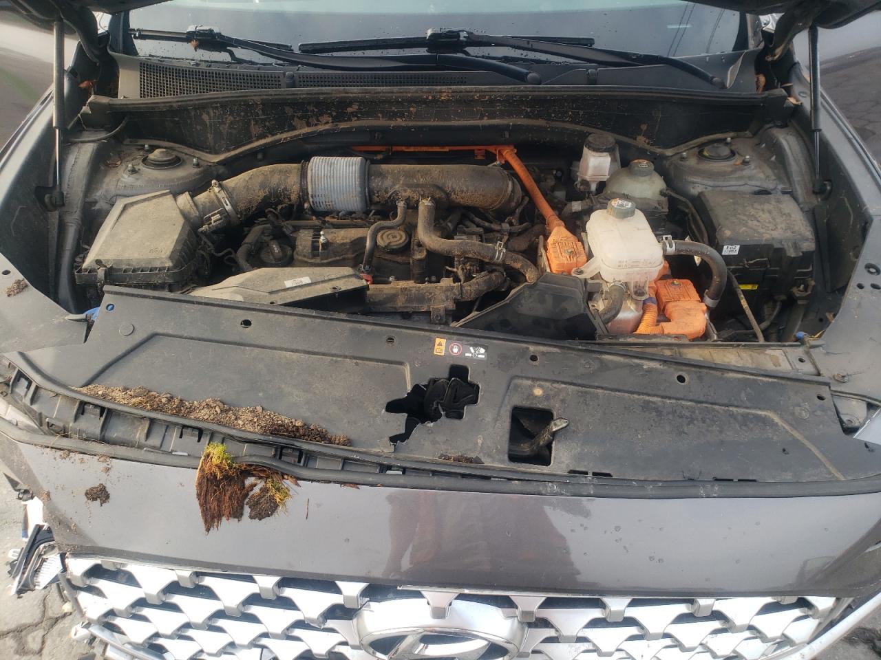 2022 Hyundai Santa Fe Limited VIN: KM8S5DA10NU018129 Lot: 82064345