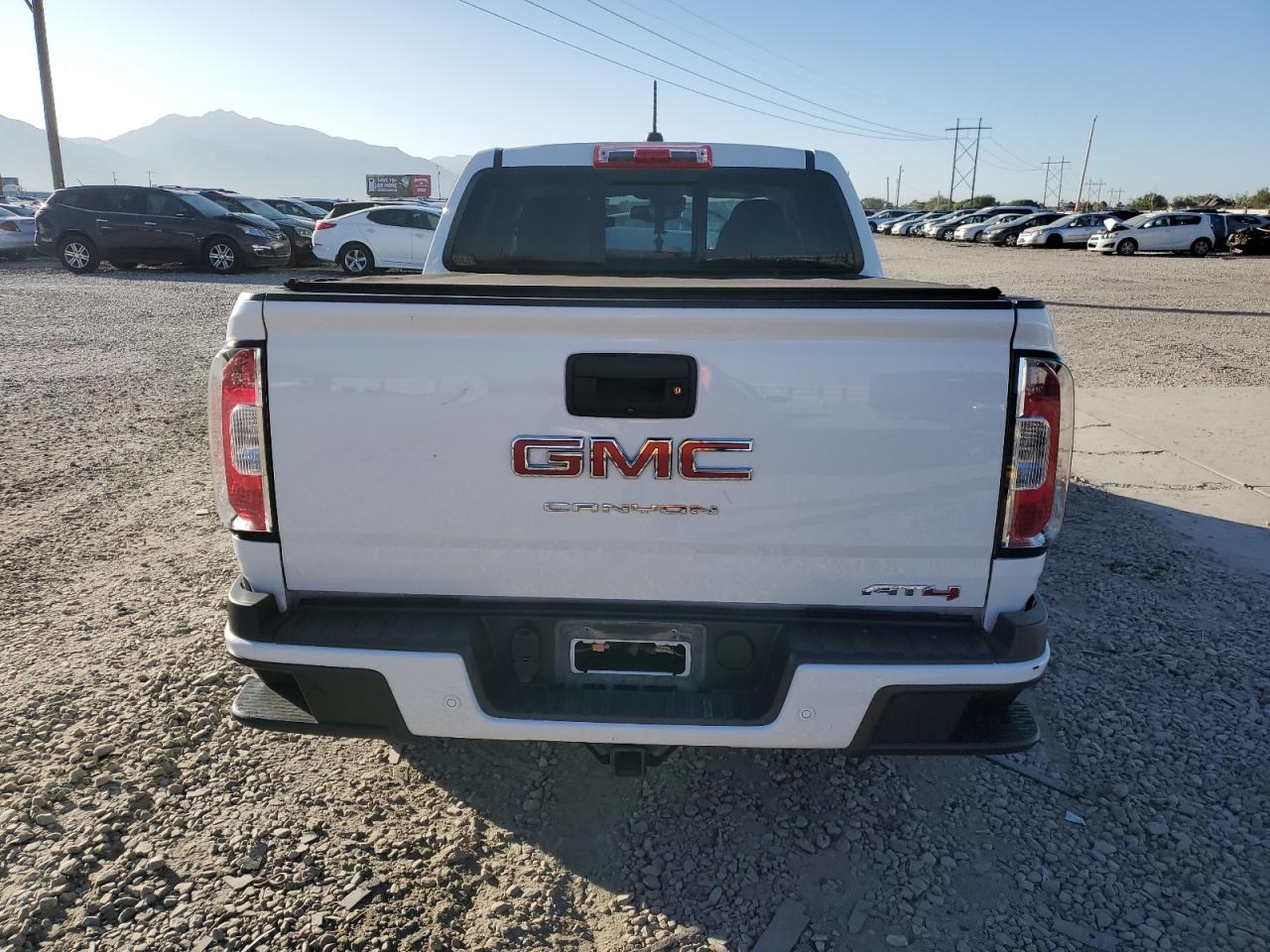 2021 GMC Canyon At4 VIN: 1GTP6FE19M1295200 Lot: 81395615