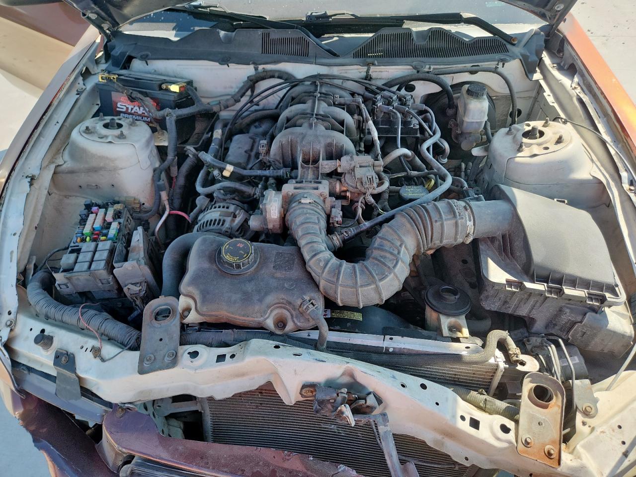 2010 Ford Mustang VIN: 1ZVBP8ANXA5161499 Lot: 81046215