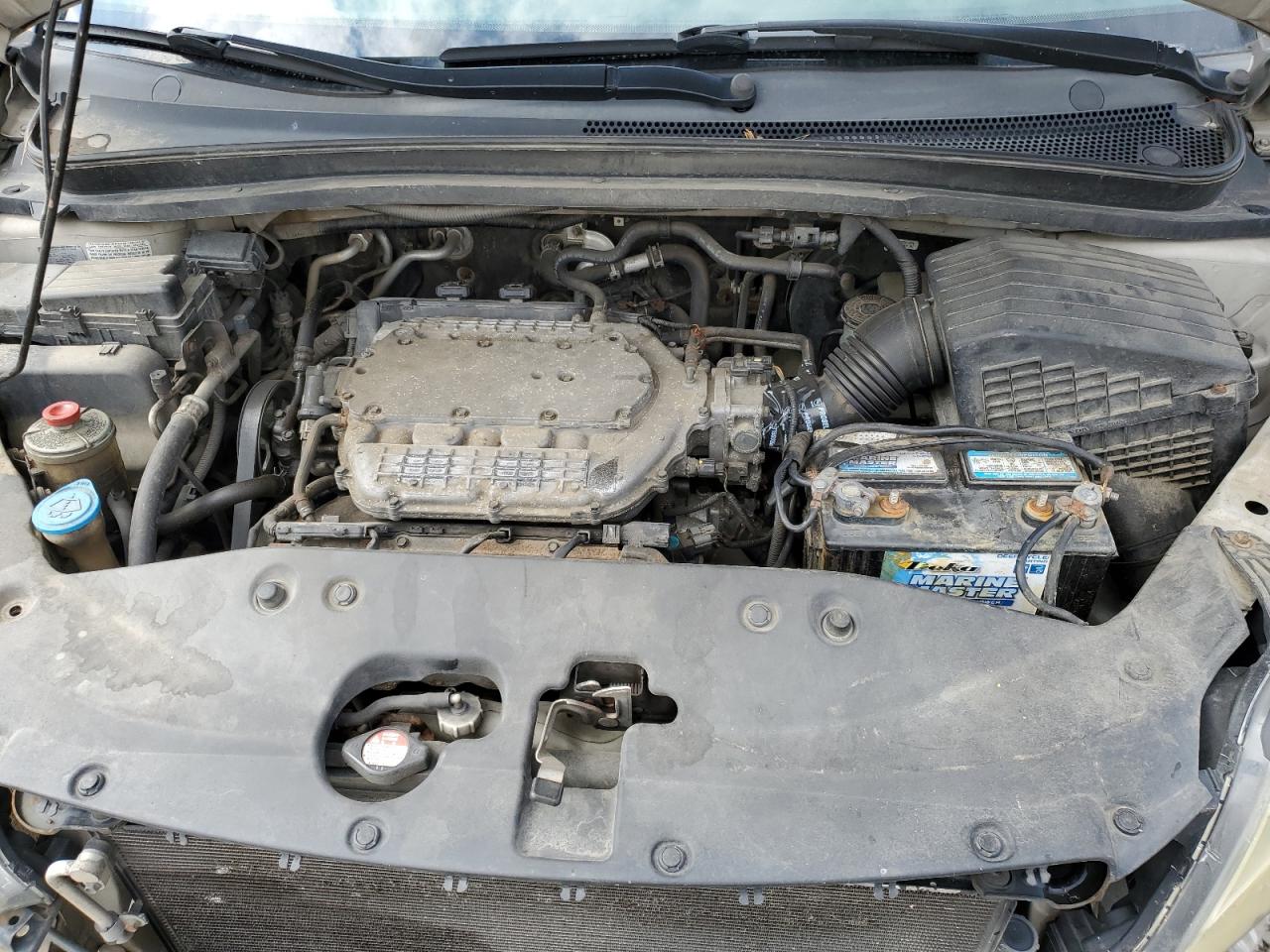 2006 Honda Odyssey Exl VIN: 5FNRL38606B404659 Lot: 83874525