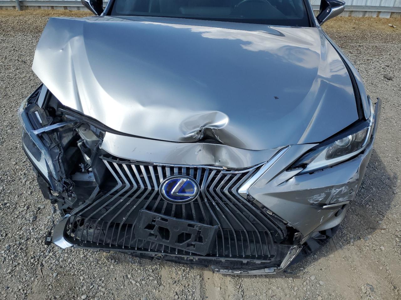2020 Lexus Es 300H VIN: 58AD21B13LU008960 Lot: 80393405