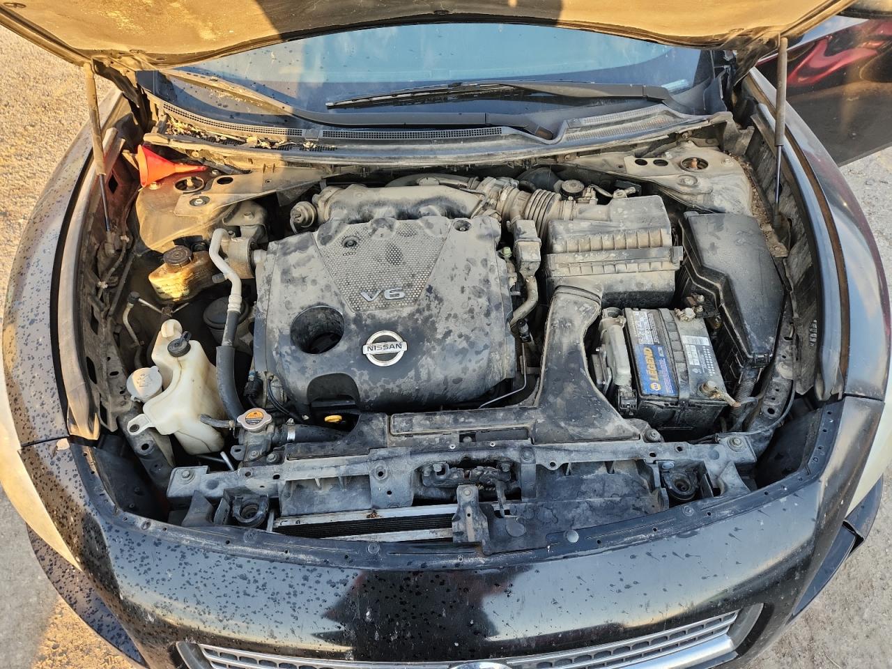 2009 Nissan Maxima S VIN: 1N4AA51E49C817904 Lot: 71687985