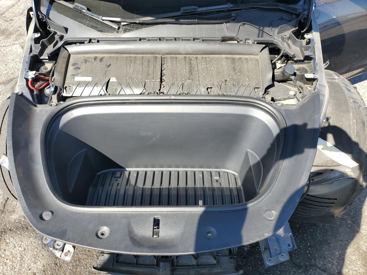 2024 Tesla Model Y VIN: 7SAYGDEE6RA250349 Lot: 80730895