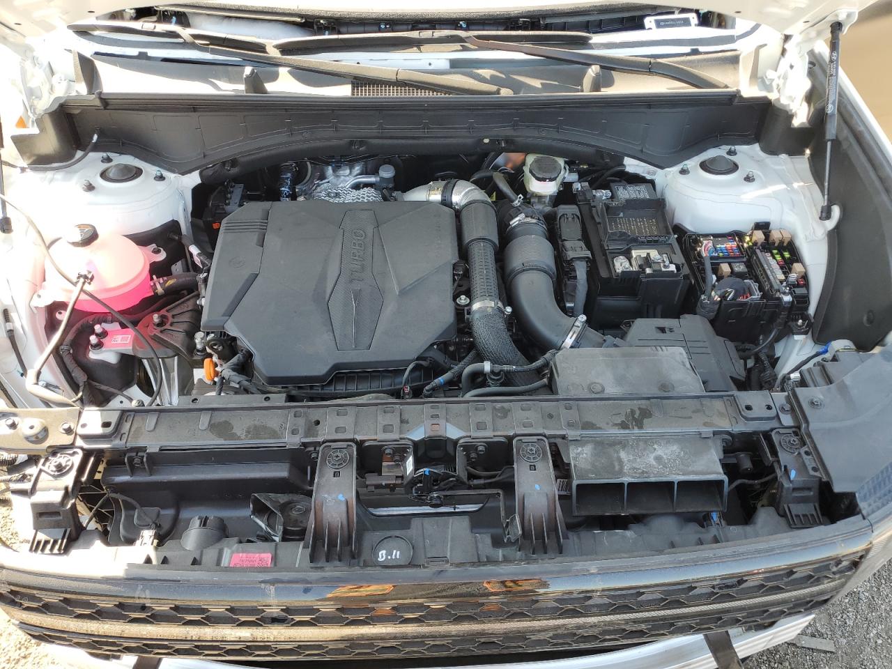 2026 Hyundai Santa Fe Calligraphy VIN: 5NMP5DGLXTH151214 Lot: 81297425