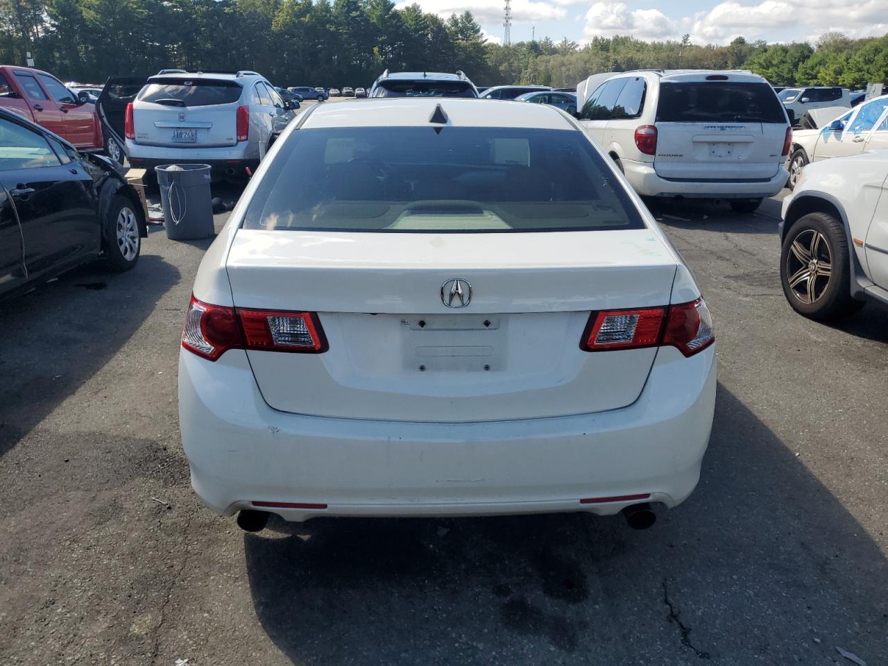 2009 Acura Tsx VIN: JH4CU26609C026259 Lot: 71124915