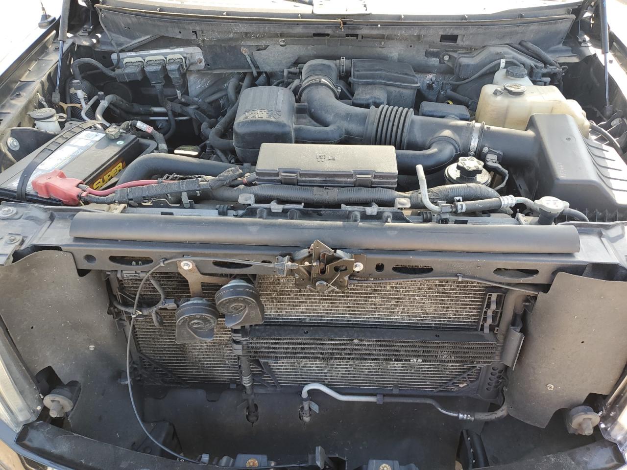 2010 Ford F150 Supercrew VIN: 1FTFW1EV1AFA05855 Lot: 81936865