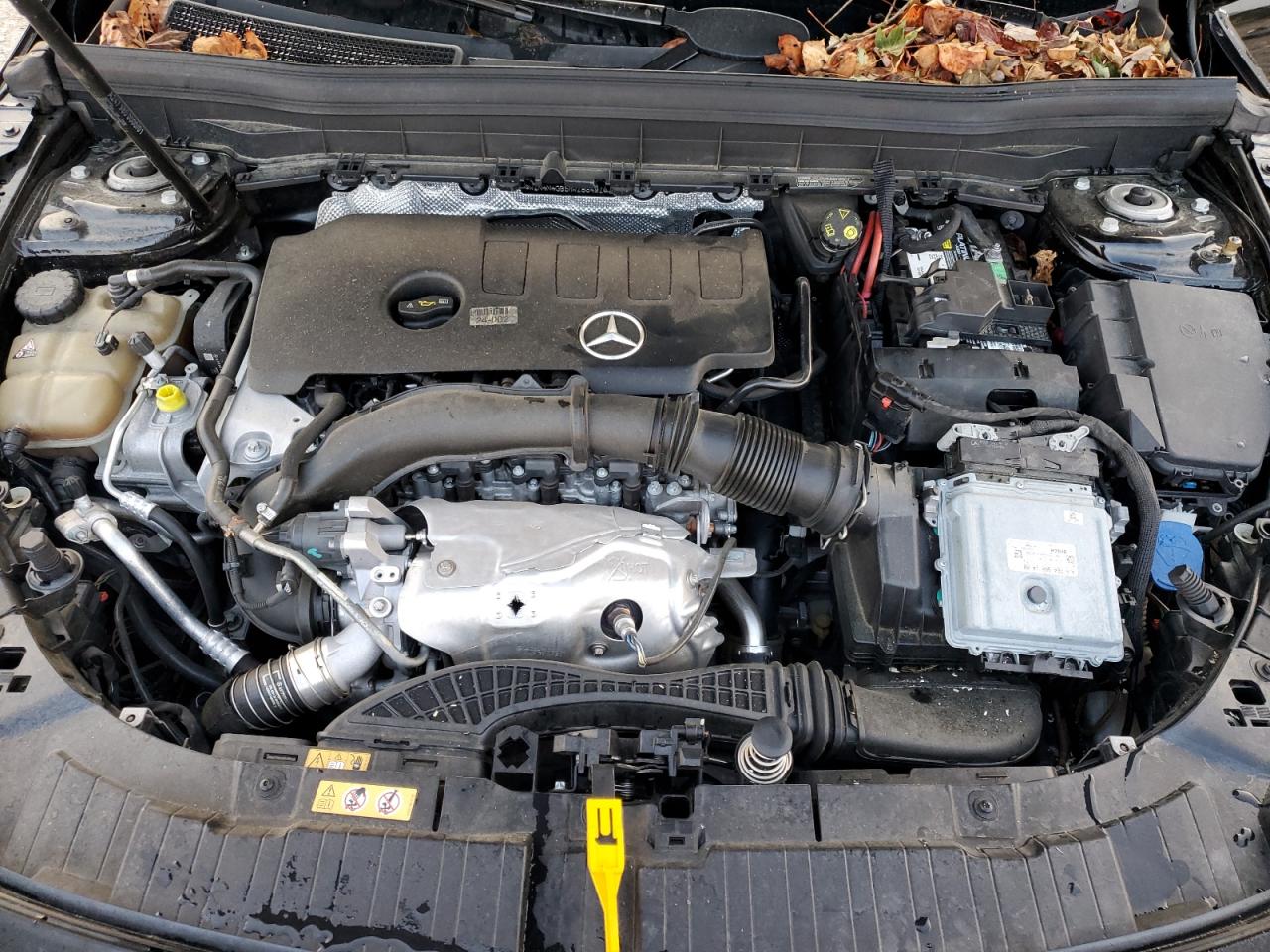 2022 Mercedes-Benz Glb 250 VIN: W1N4M4GB5NW186491 Lot: 81687645