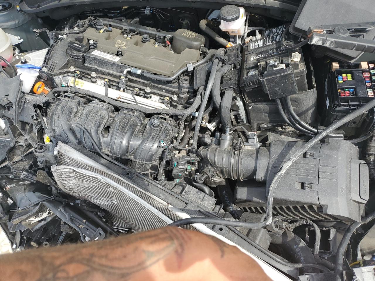 2023 Hyundai Tucson Limited VIN: 5NMJECAEXPH162858 Lot: 81158825