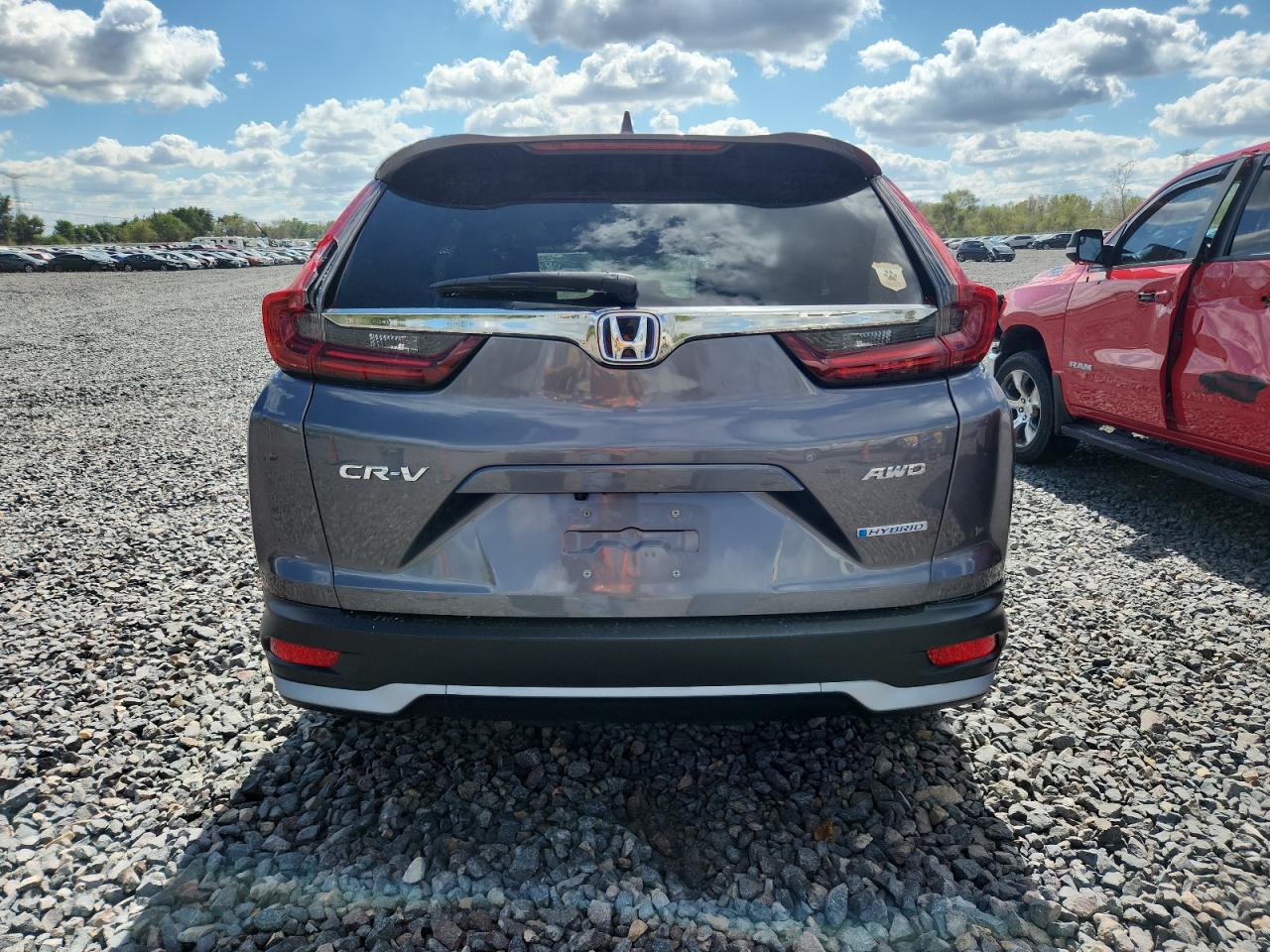 2020 Honda Cr-V Ex VIN: 7FART6H51LE015392 Lot: 81801975