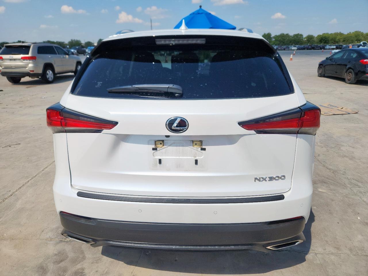 2020 Lexus Nx 300 VIN: JTJDARBZ8L5011587 Lot: 80911765