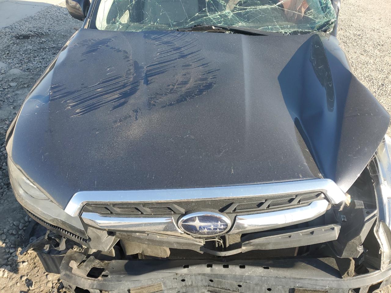 2017 Subaru Forester 2.5I Premium VIN: JF2SJADC4HH512939 Lot: 70889855