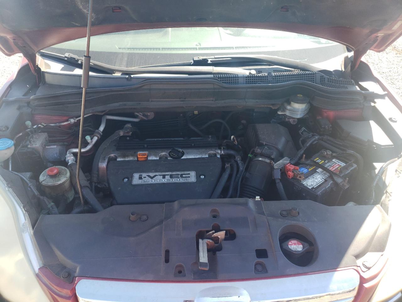 2007 Honda Cr-V Exl VIN: 5J6RE48707L004098 Lot: 71846745