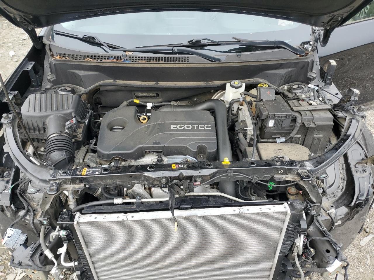 2020 Chevrolet Equinox Lt VIN: 2GNAXKEV9L6176449 Lot: 81893395