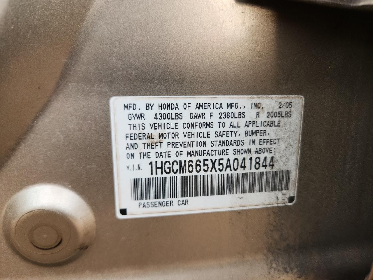 2005 Honda Accord Ex VIN: 1HGCM665X5A041844 Lot: 81320145