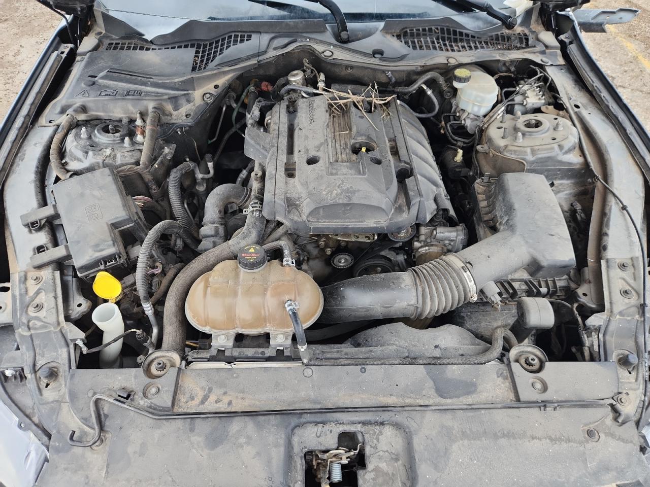 2017 Ford Mustang VIN: 1FA6P8TH2H5358730 Lot: 81776125