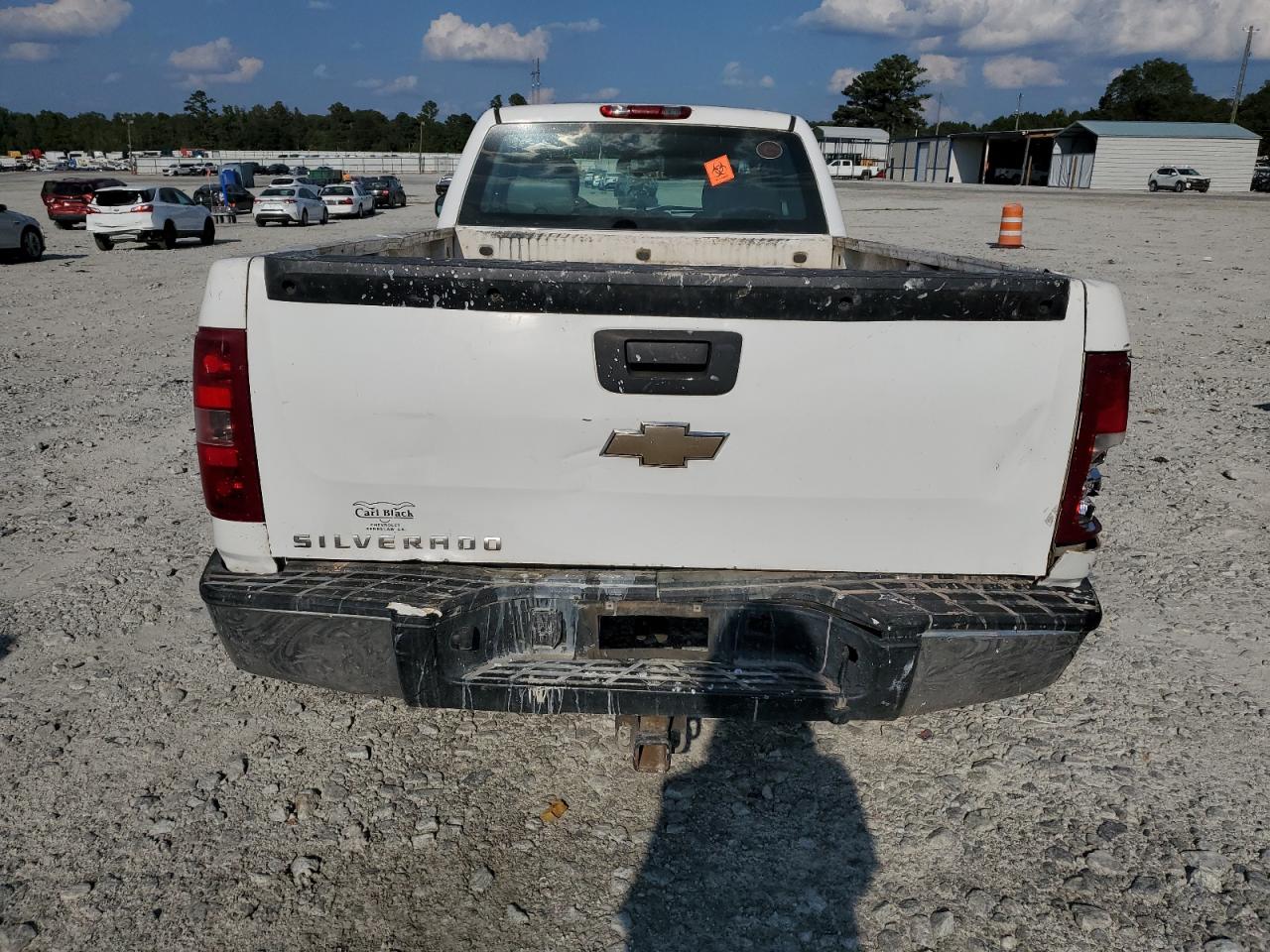 2009 Chevrolet Silverado C1500 VIN: 1GCEC19J09E163343 Lot: 80729825