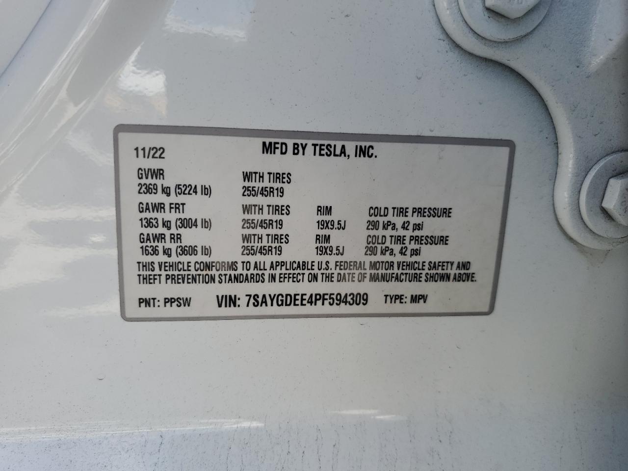 2023 Tesla Model Y VIN: 7SAYGDEE4PF594309 Lot: 81809595