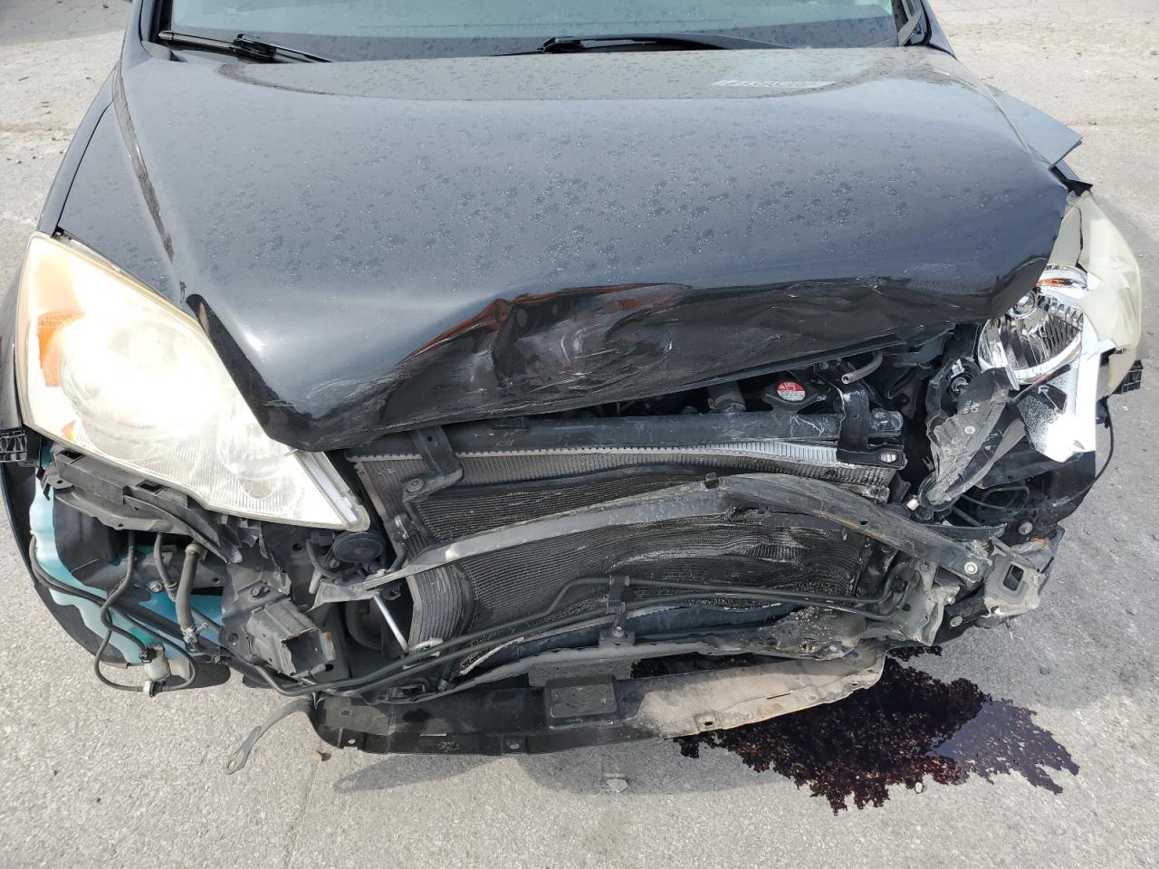 2007 Honda Cr-V Exl VIN: JHLRE48757C012223 Lot: 81382935