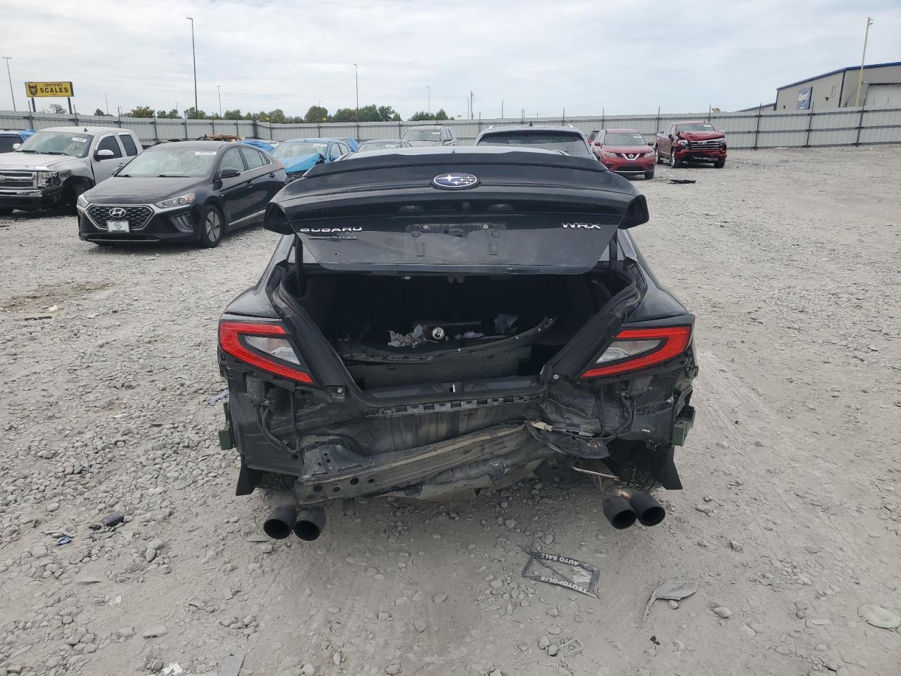 2022 Subaru Wrx Limited VIN: JF1VBAL69N9010024 Lot: 72055515