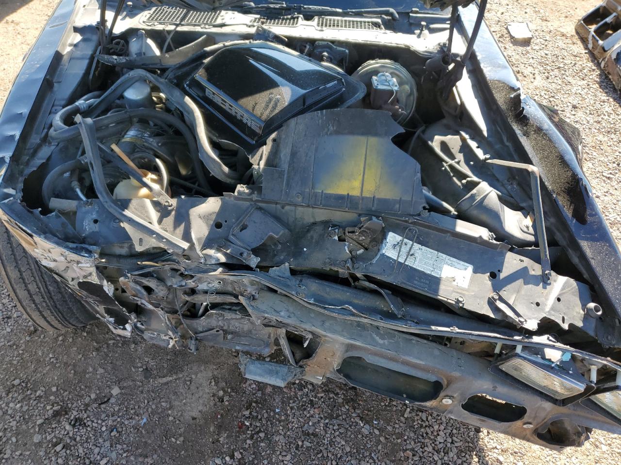 1979 Pontiac Trans Am VIN: 2W87K9L153994 Lot: 81391325