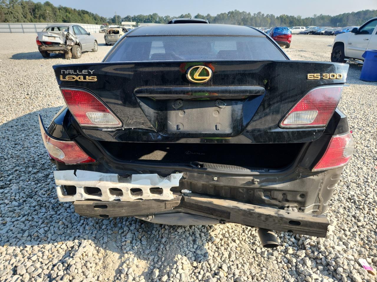 2002 Lexus Es 300 VIN: JTHBF30G825031698 Lot: 80212315