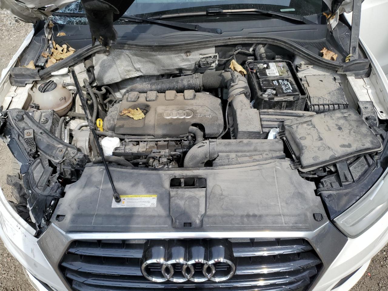 2016 Audi Q3 Premium Plus VIN: WA1EFCFS7GR008207 Lot: 81497775