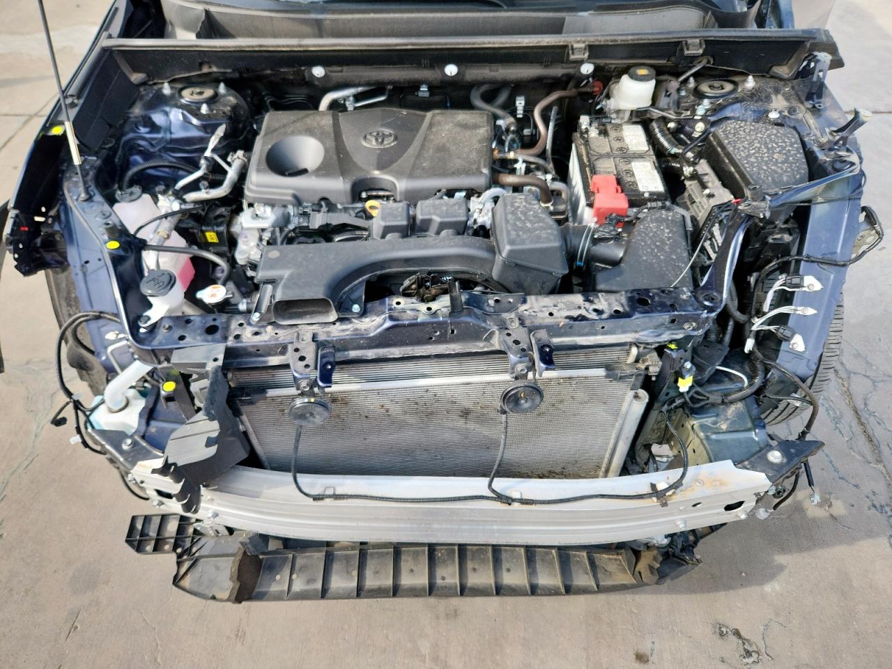 2024 Toyota Rav4 Xle Premium VIN: 2T3C1RFV5RW329819 Lot: 71788045