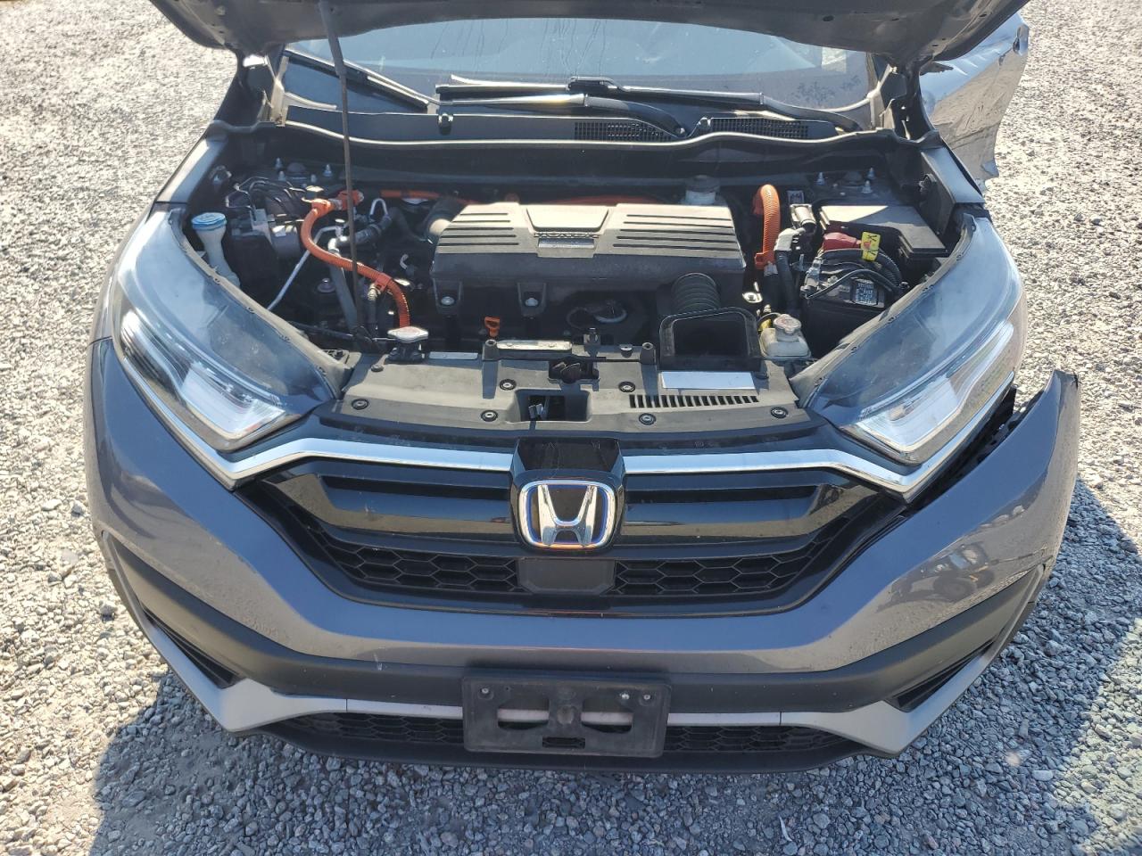 2020 Honda Cr-V Exl VIN: 7FART6H82LE013113 Lot: 71763835