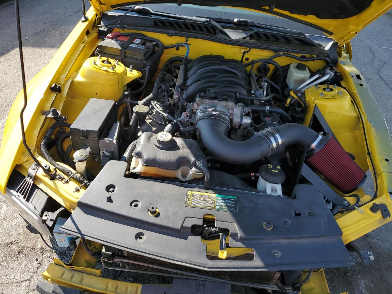 2006 Ford Mustang Gt VIN: 1ZVHT85H065107887 Lot: 80448205