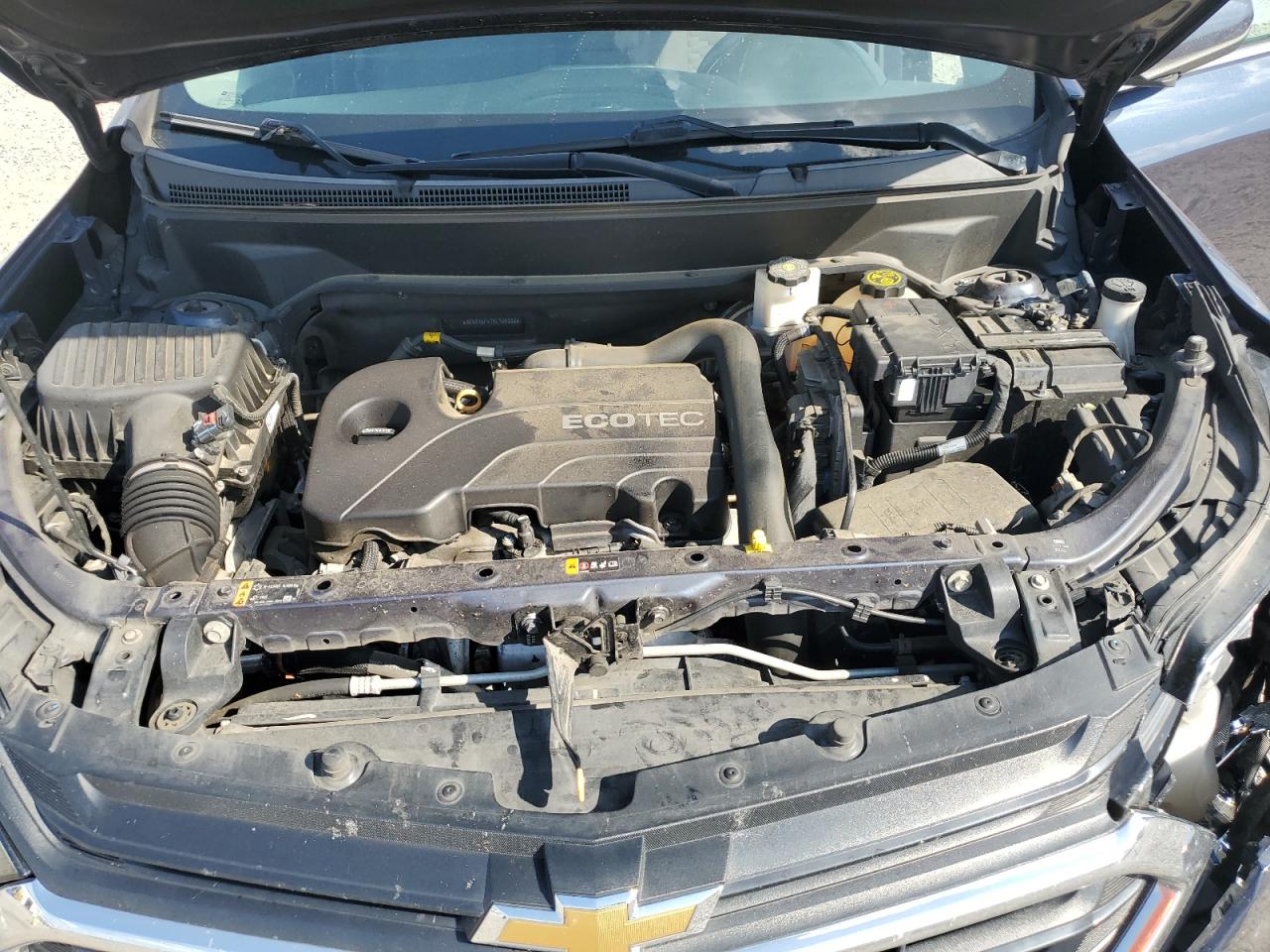 2019 Chevrolet Equinox Lt VIN: 3GNAXKEV7KL165332 Lot: 81763205