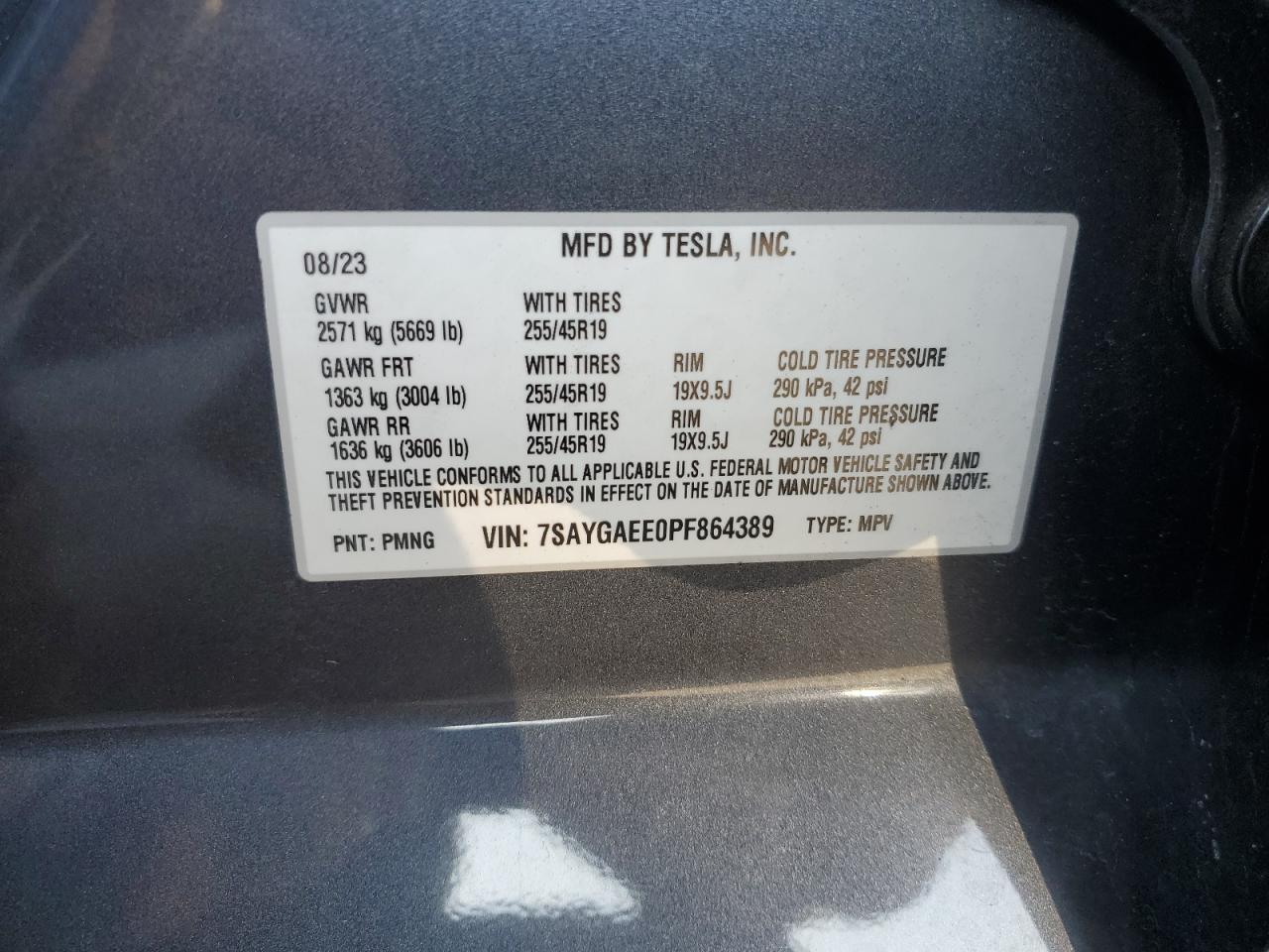 2023 Tesla Model Y VIN: 7SAYGAEE0PF864389 Lot: 81257495