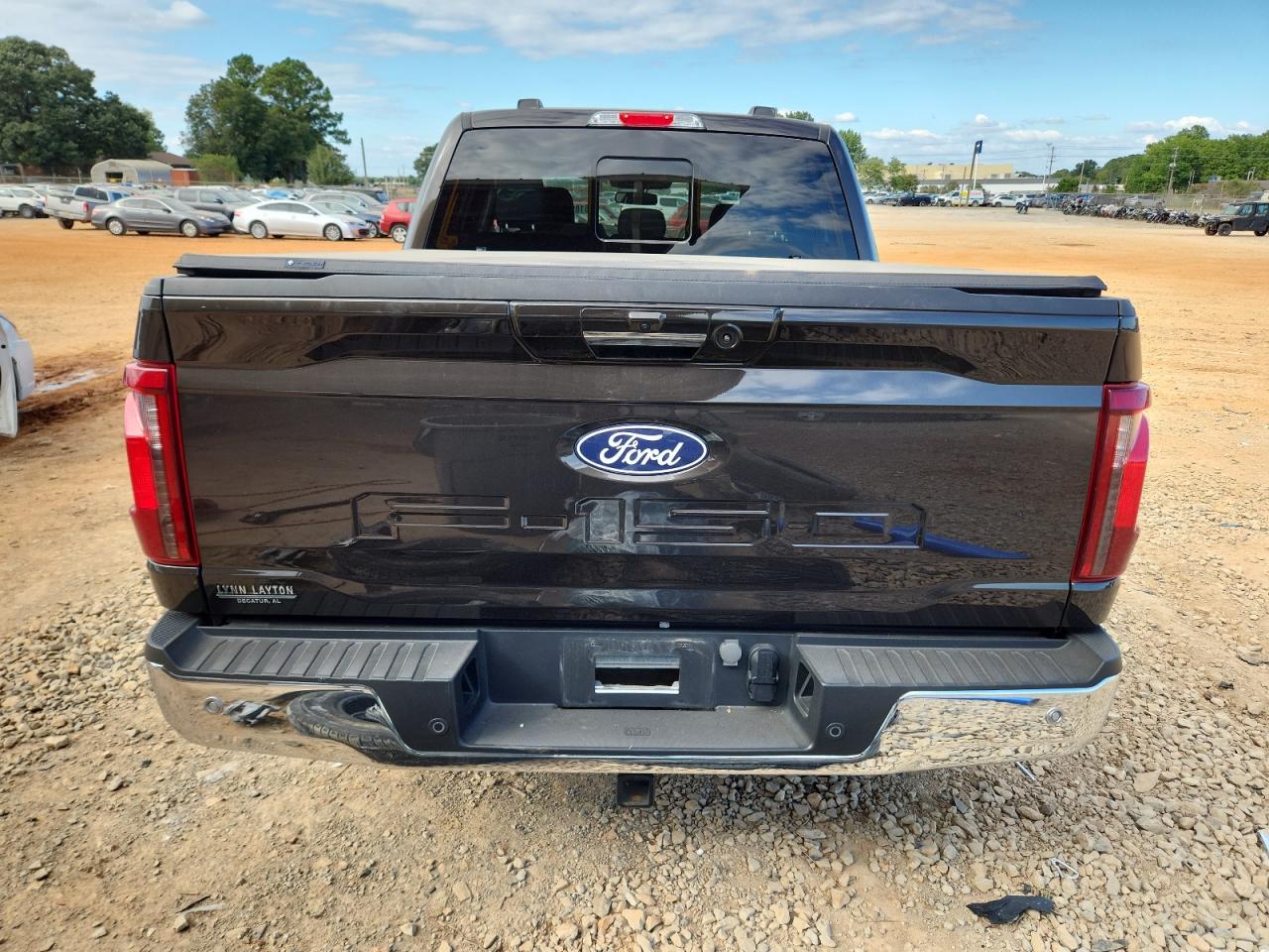 2024 Ford F150 Xlt VIN: 1FTEW3K85RFA17699 Lot: 81895695