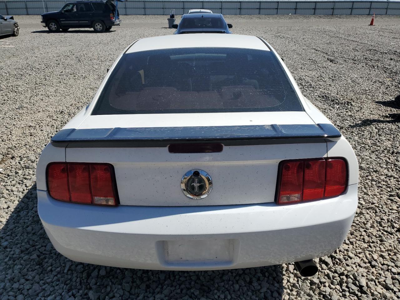 2006 Ford Mustang VIN: 1ZVFT80N665246894 Lot: 80672845