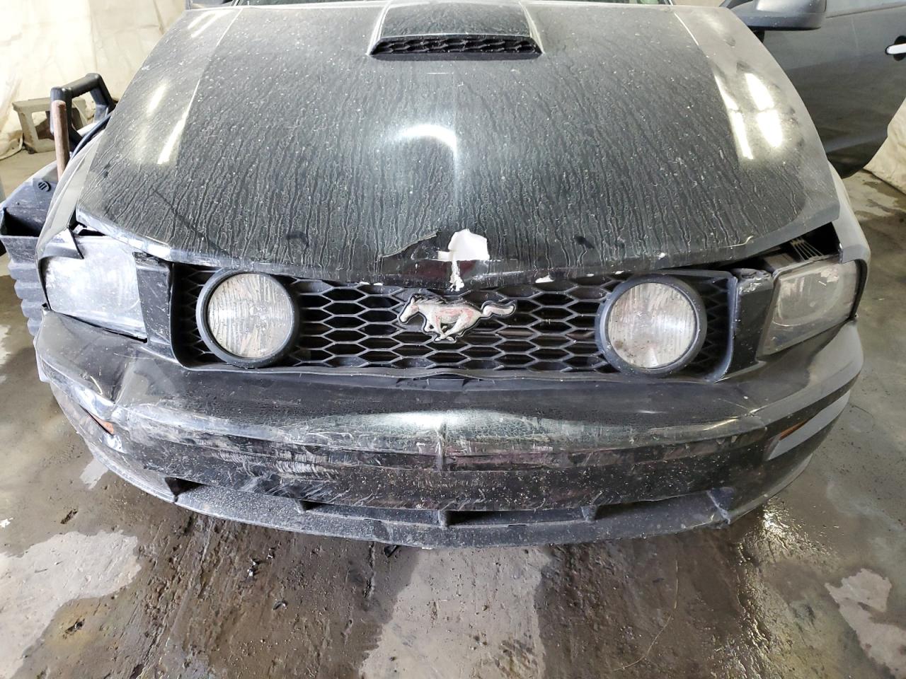 2007 Ford Mustang Gt VIN: 1ZVHT85H075218974 Lot: 80884615