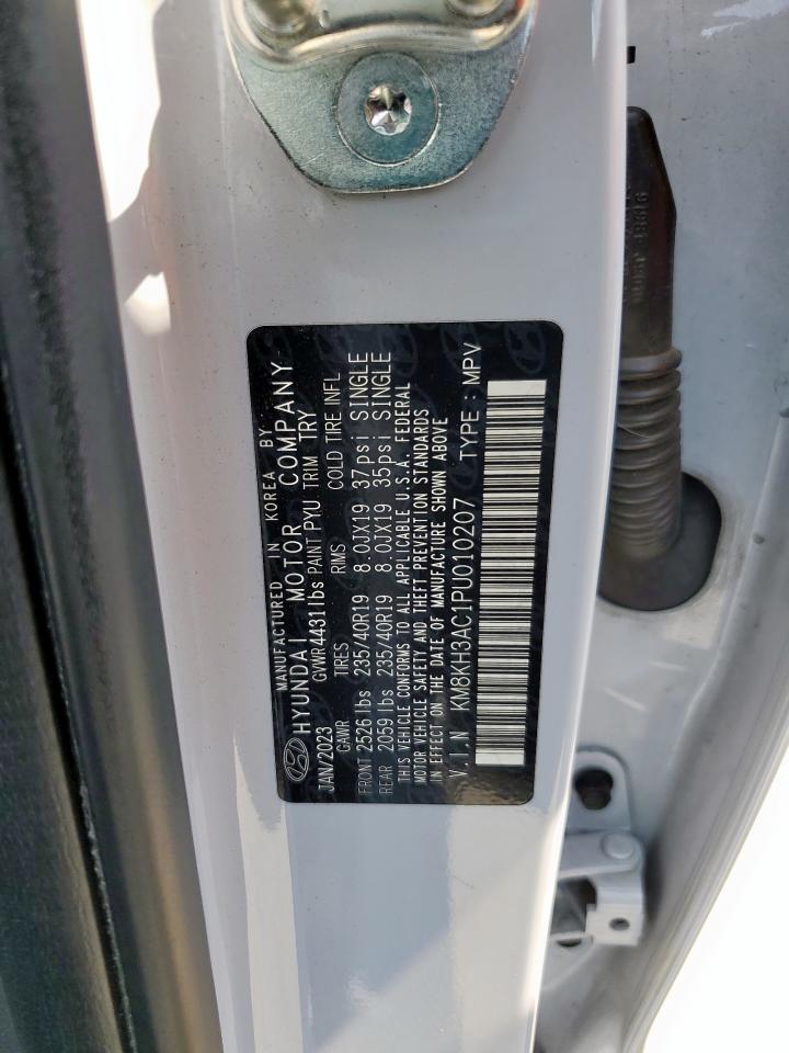 2023 Hyundai Kona N Base VIN: KM8KH3AC1PU010207 Lot: 81656225
