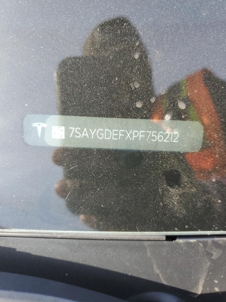 2023 Tesla Model Y VIN: 7SAYGDEFXPF756212 Lot: 81904585