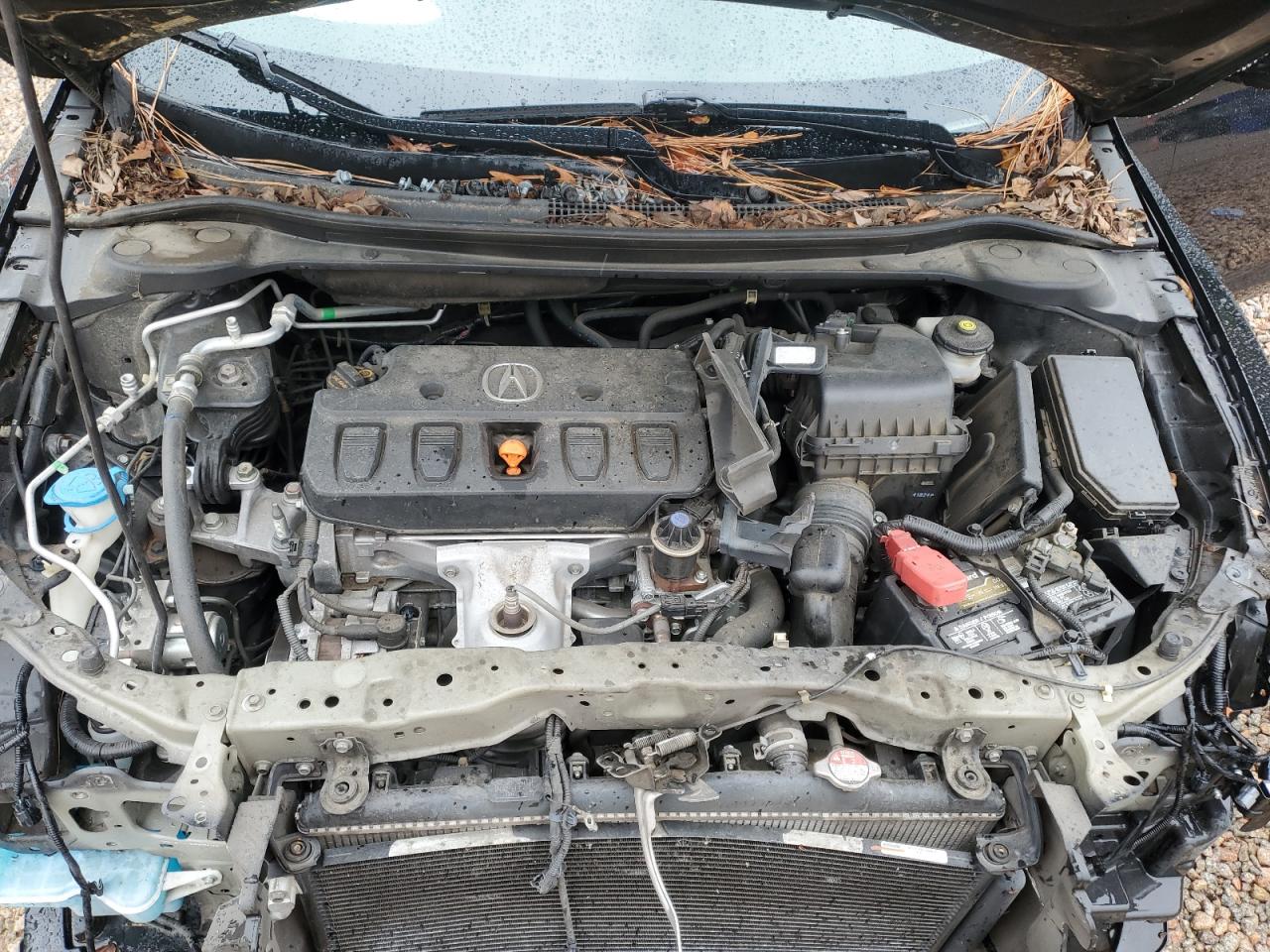 2014 Acura Ilx 20 Premium VIN: 19VDE1F59EE014241 Lot: 84411255