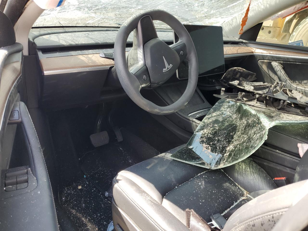 2024 Tesla Model Y VIN: 7SAYGDED6RF206541 Lot: 81378765