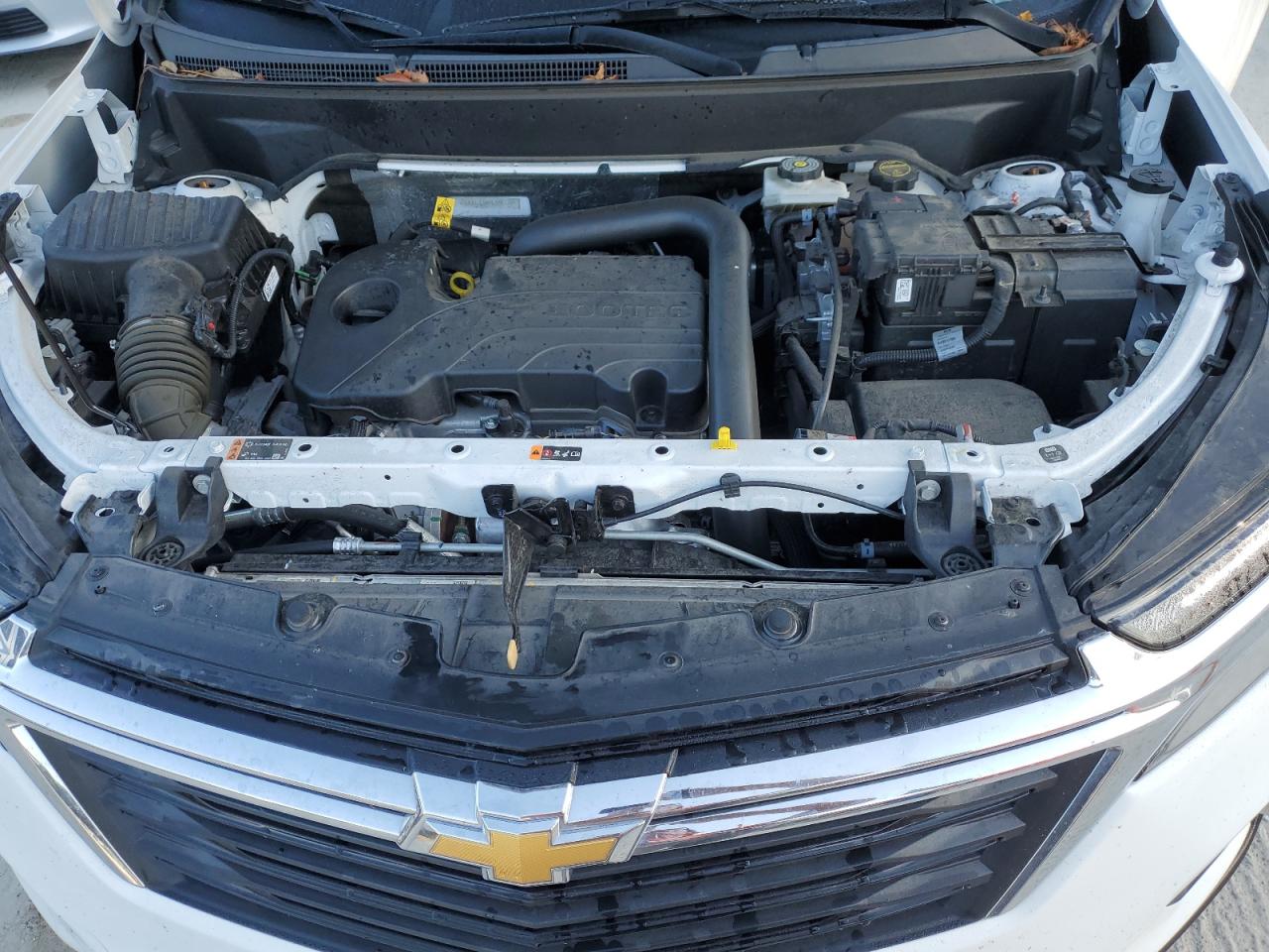 2024 Chevrolet Equinox Lt VIN: 3GNAXUEG4RL338120 Lot: 81329615