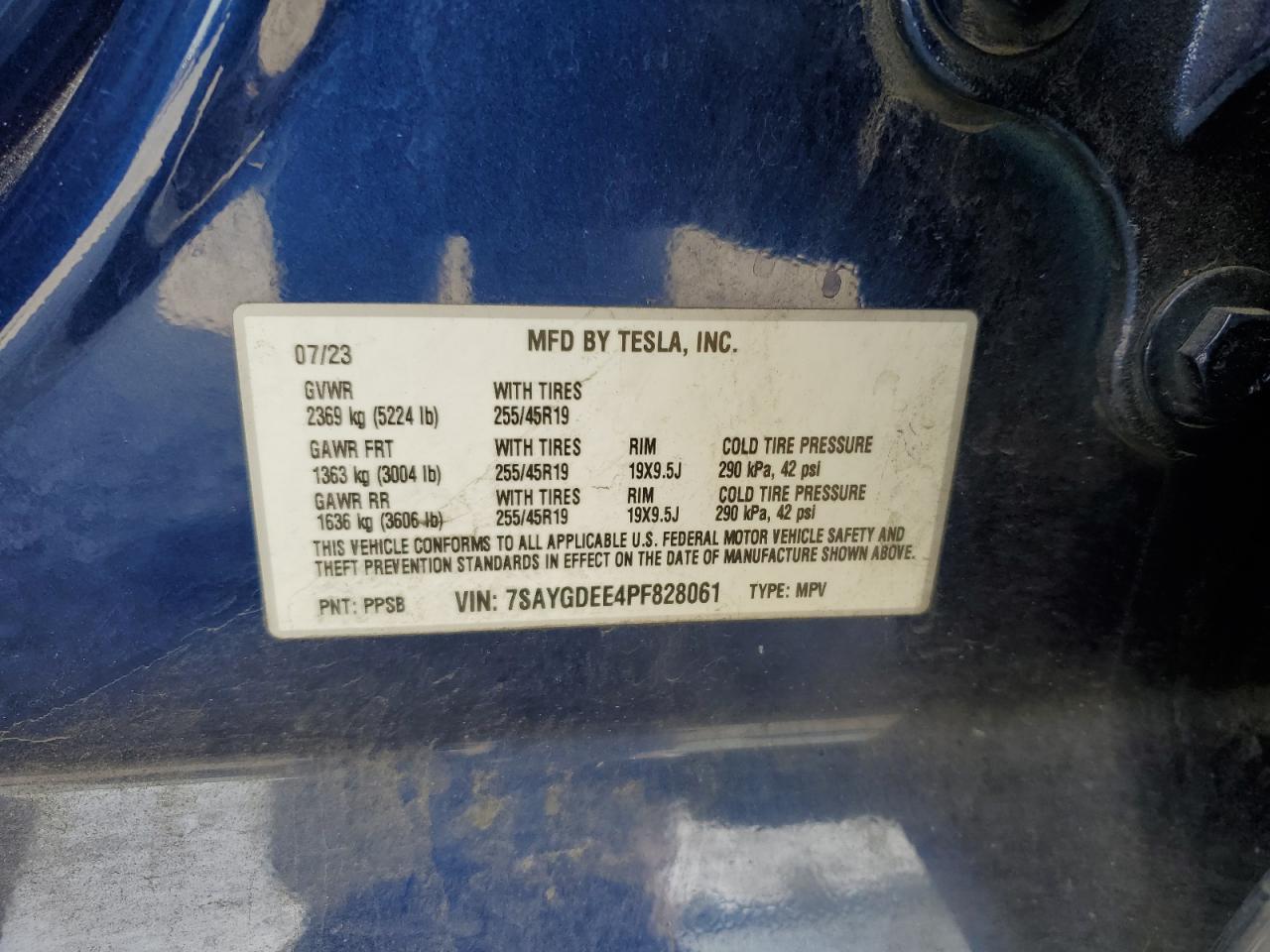 2023 Tesla Model Y VIN: 7SAYGDEE4PF828061 Lot: 71713995