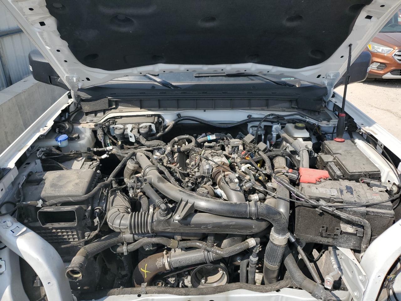 2024 Ford Bronco Wildtrak VIN: 1FMEE2BP6RLA29801 Lot: 80520815