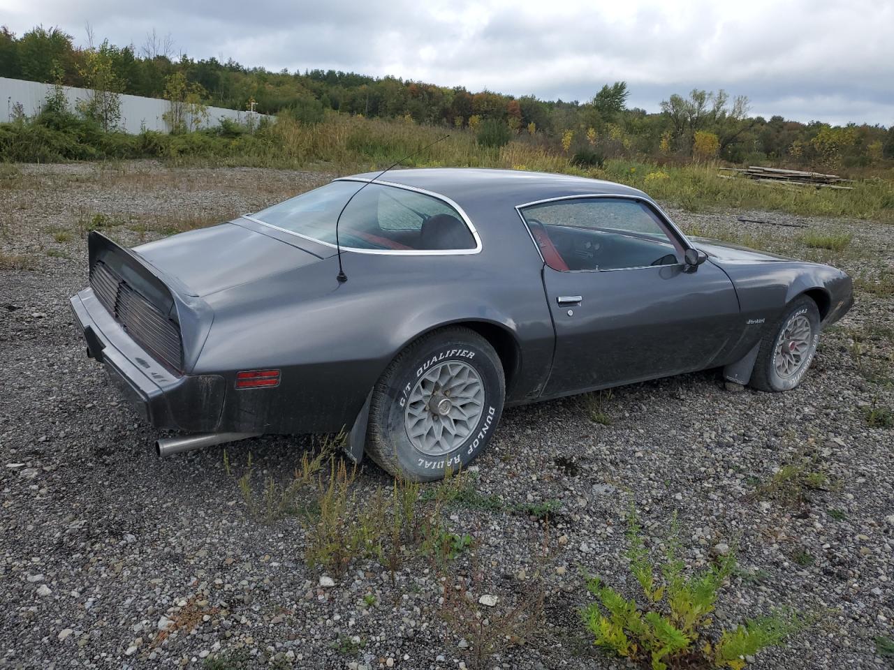 1981 Pontiac Firebird grey coupe gas 1G2AS87A4BN117926 photo #4