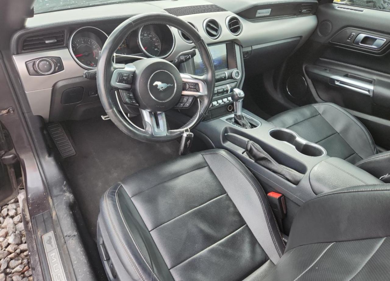 2022 Ford Mustang VIN: 1FATP8UH4N5102814 Lot: 81501575