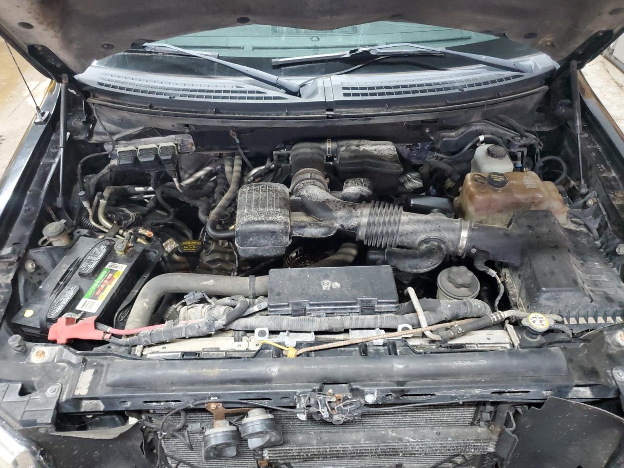 2010 Ford F150 Supercrew VIN: 1FTFW1EV4AKB56874 Lot: 81451505