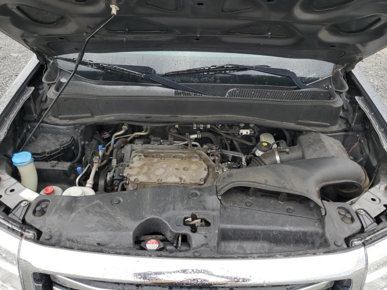 2013 Honda Pilot Exl VIN: 5FNYF4H59DB005584 Lot: 83996735